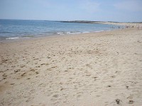 /album/la-plage/a2dfd-cleder-plage-jpeg/